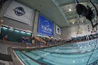Swimming & Diving vs RWU  Swimming & Diving vs Roger Williams University. - Photo by Keith Nordstrom : Wheaton, Swimming